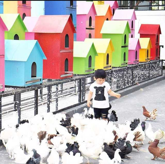tempat wisata anak - Rabbit Town